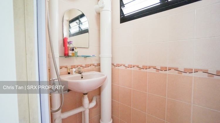 Blk 9 Holland Avenue (Queenstown), HDB 3 Rooms #199144472